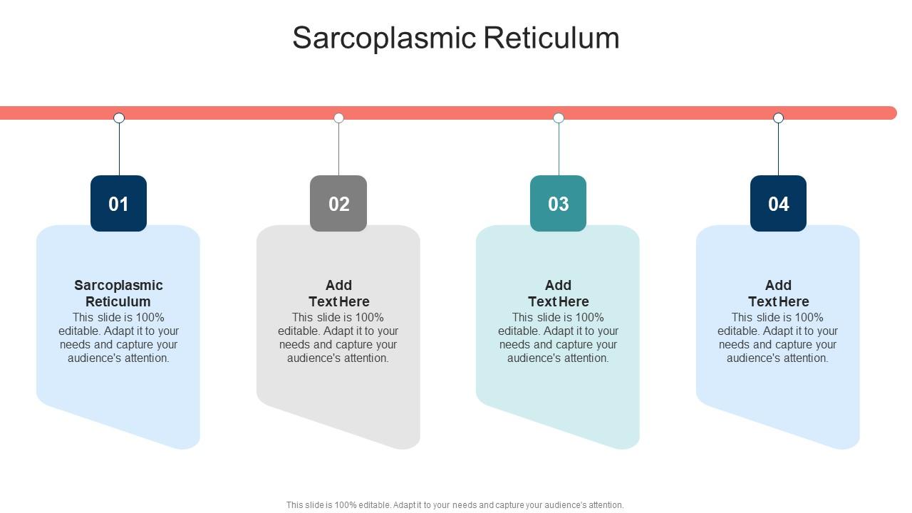 Sarcoplasmic Reticulum In Powerpoint And Google Slides Cpb