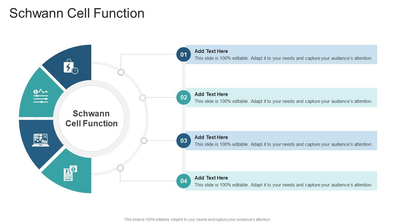 Schwann Cell Function In Powerpoint And Google Slides Cpb