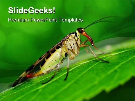 scorpionfly_nature_powerpoint_templates_and_powerpoint_backgrounds_0111_title.jpg