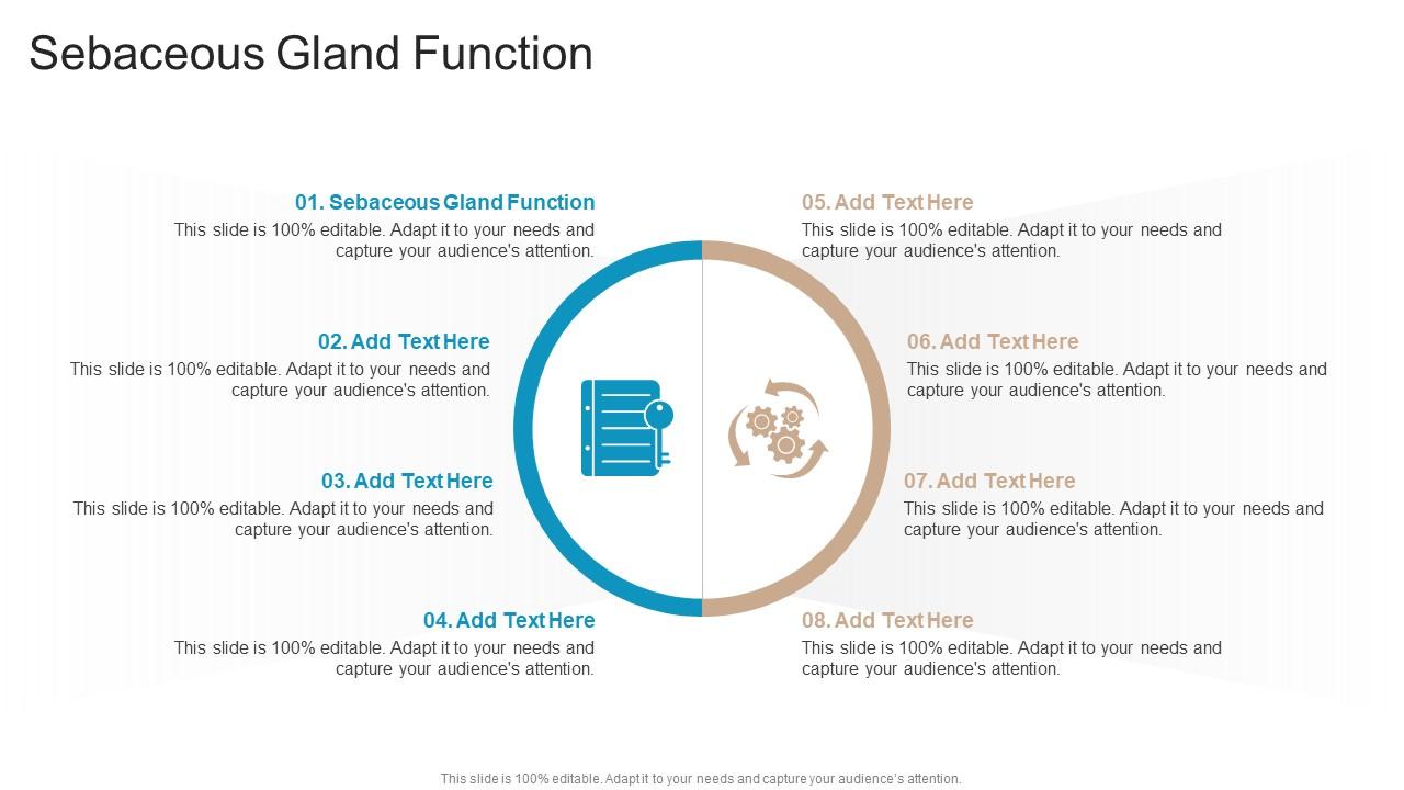 Sebaceous Gland Function In Powerpoint And Google Slides Cpb