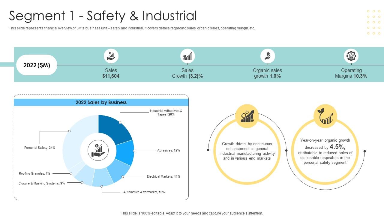 Segment 1 Safety And Industrial Multinational Conglomerate Company Profile CP SS V