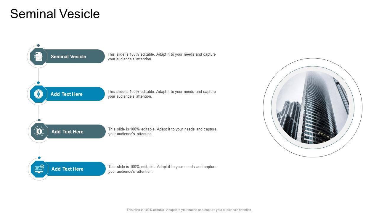 Seminal Vesicle In Powerpoint And Google Slides Cpb