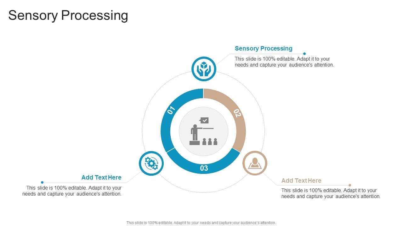 Sensory Processing In Powerpoint And Google Slides Cpb