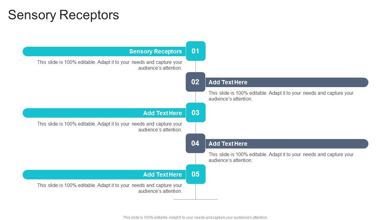 Sensory Receptors In Powerpoint And Google Slides Cpb