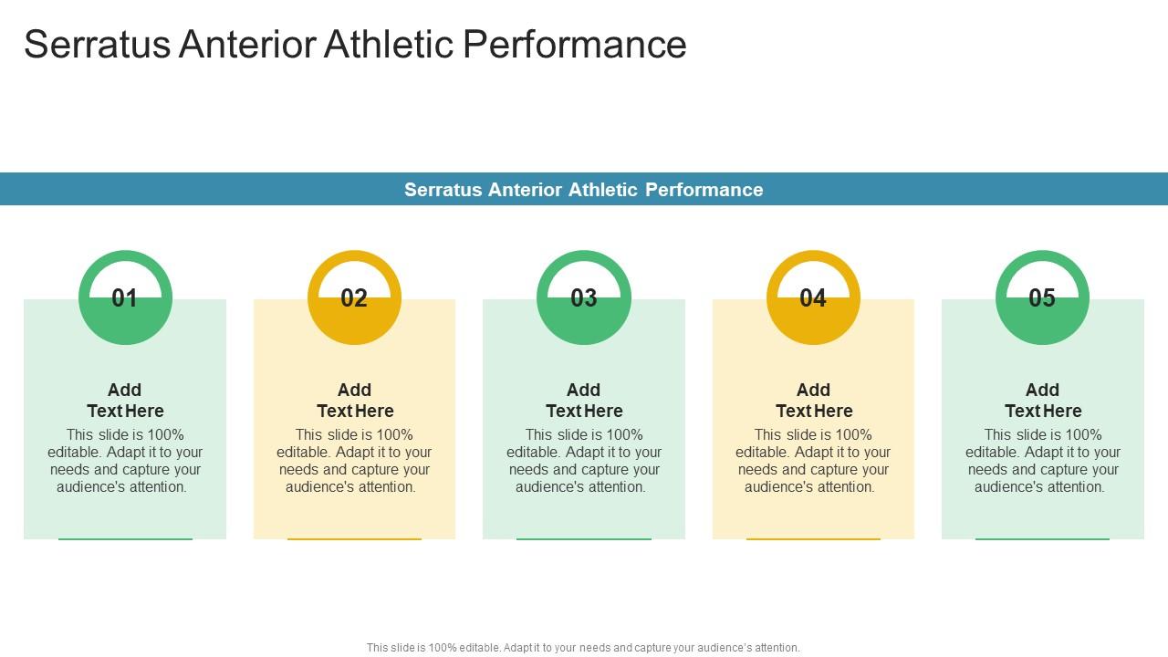 Serratus Anterior Athletic Performance In Powerpoint And Google Slides Cpb