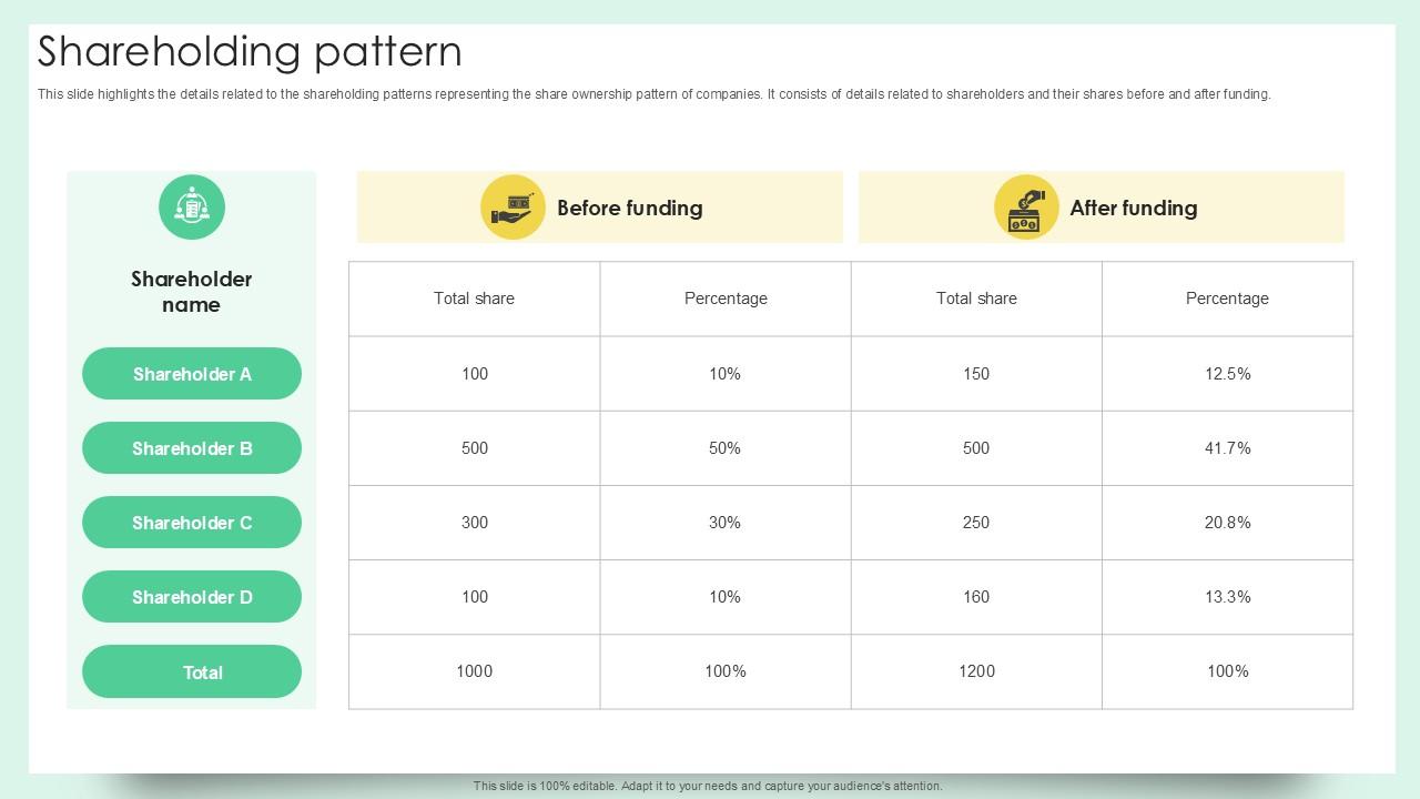 Shareholding Pattern Document Creation Software Company Fundraising Ppt Sample