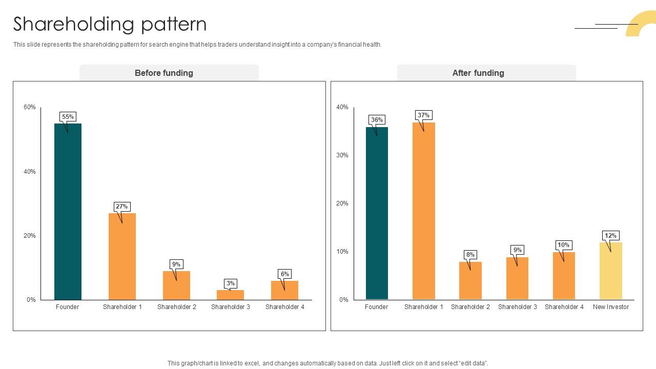 Shareholding Pattern Internet Company Investor Funding Elevator Pitch Deck