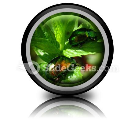 shiny_beetles_powerpoint_icon_cc.jpg