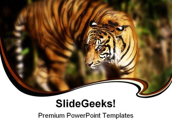 siberian_tiger_animals_powerpoint_templates_and_powerpoint_backgrounds_0211_title.jpg