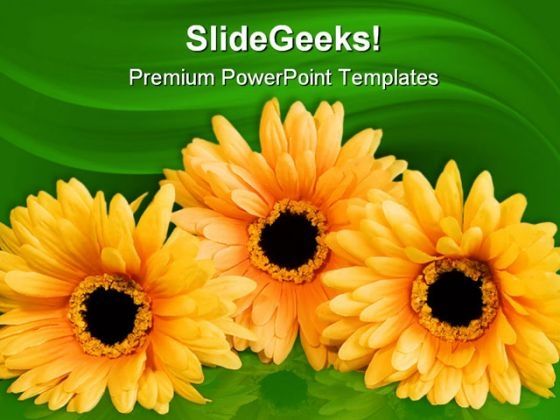 silk_flowers_beauty_powerpoint_templates_and_powerpoint_backgrounds_0211_title.jpg