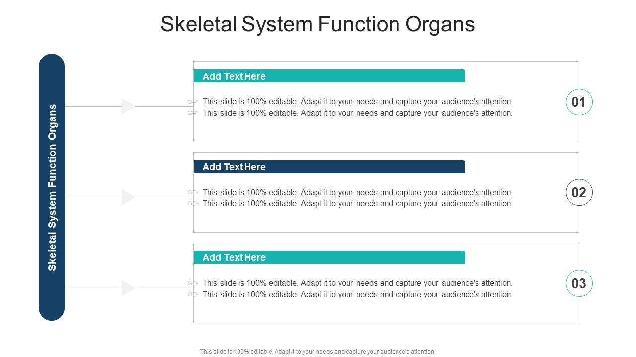 Skeletal System Function Organs In Powerpoint And Google Slides Cpb