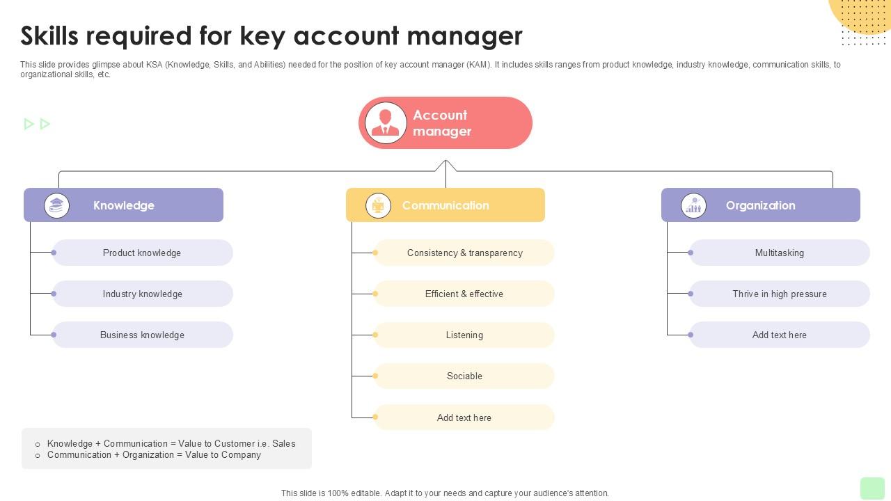 Skills Required For Key Account Detailed Business Account PPT Sample Strategy SS V