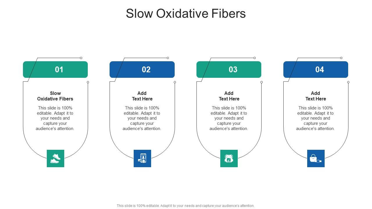 Slow Oxidative Fibers In Powerpoint And Google Slides Cpb