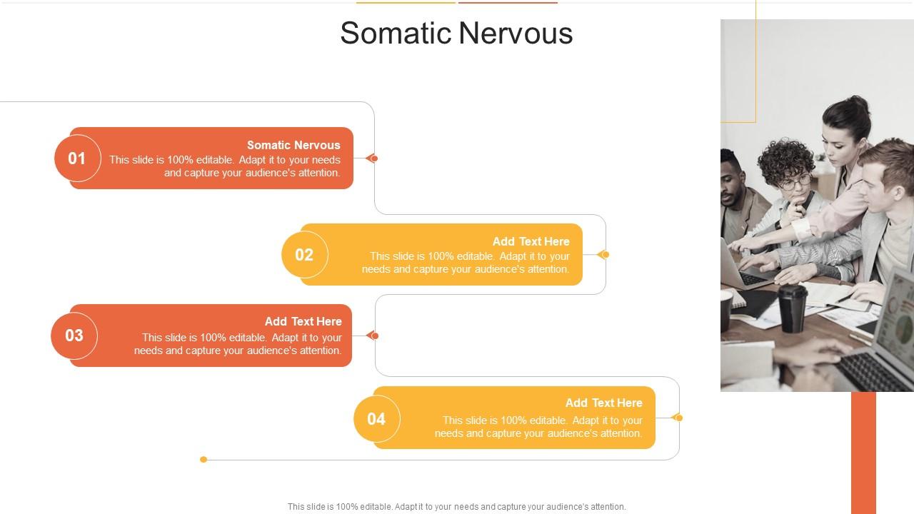 Somatic Nervous In Powerpoint And Google Slides Cpb