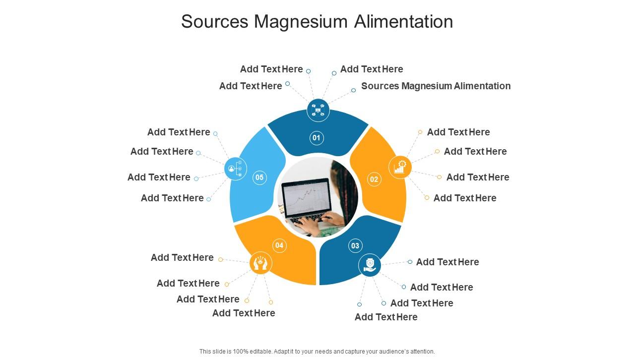 Sources Magnesium Alimentation In Powerpoint And Google Slides Cpb