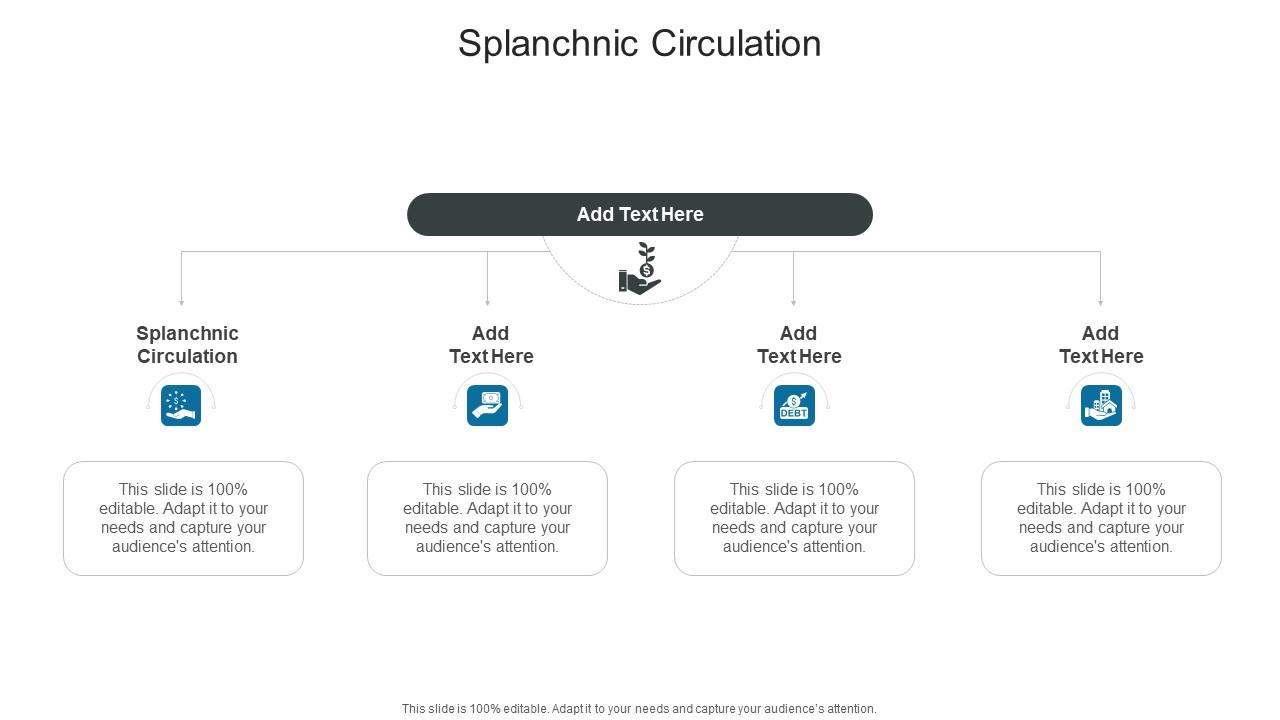 Splanchnic Circulation In Powerpoint And Google Slides Cpb