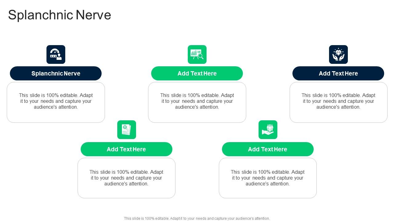 Splanchnic Nerve In Powerpoint And Google Slides Cpb