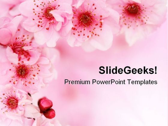 spring_cherry_flowers_background_beauty_powerpoint_templates_and_powerpoint_backgrounds_0611_title.jpg