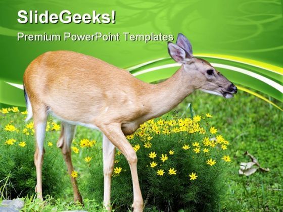 spring_deer_animals_powerpoint_themes_and_powerpoint_slides_0611_title.jpg