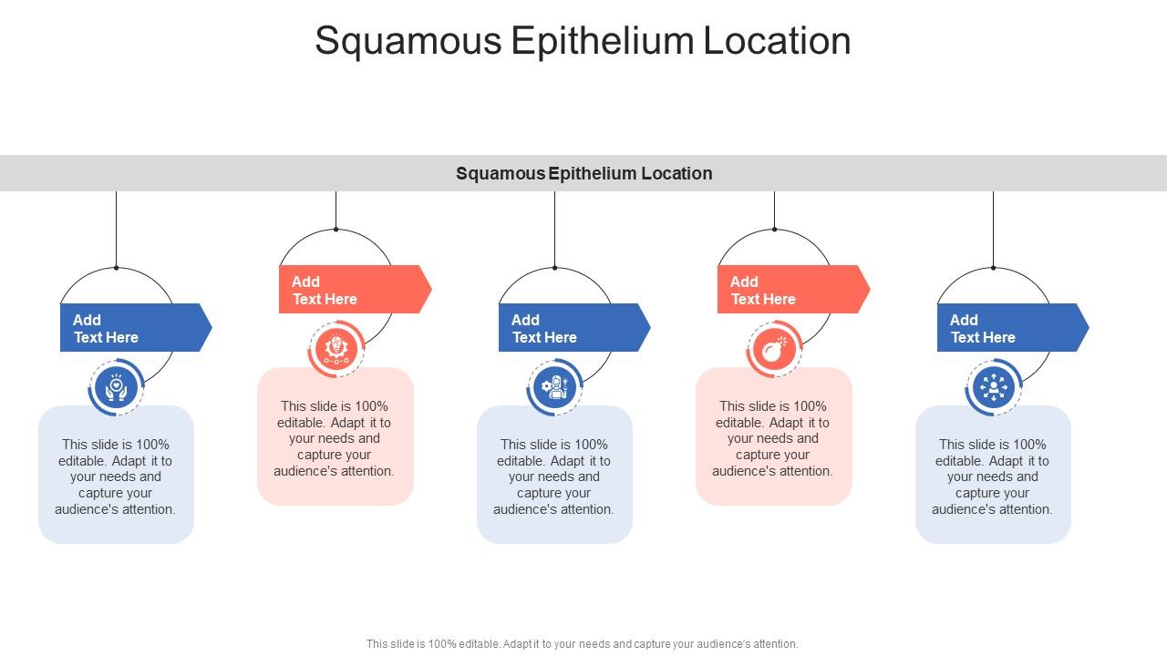 Squamous Epithelium Location In Powerpoint And Google Slides Cpb