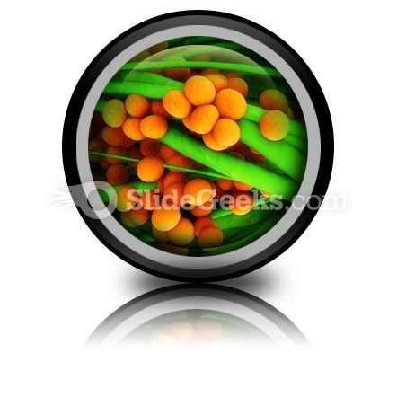 staphylococcus_science_powerpoint_icon_cc.jpg