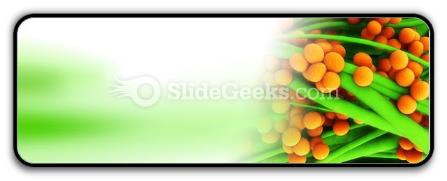 staphylococcus_science_powerpoint_icon_r.jpg