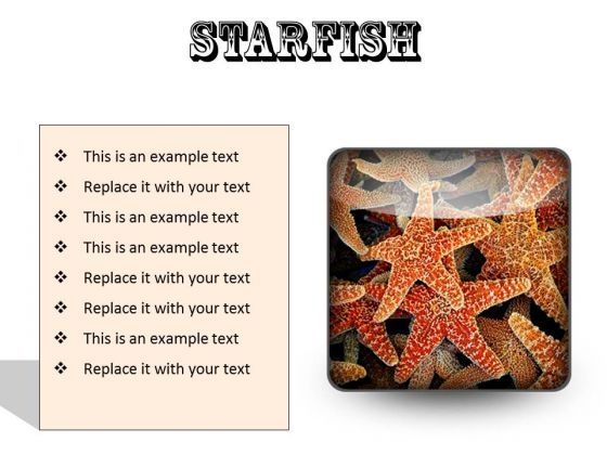 starfish_animals_powerpoint_presentation_slides_s_1.jpg