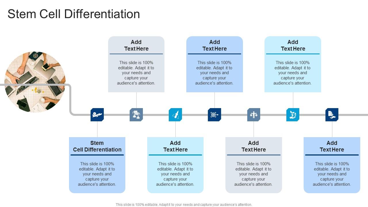Stem Cell Differentiation In Powerpoint And Google Slides Cpb
