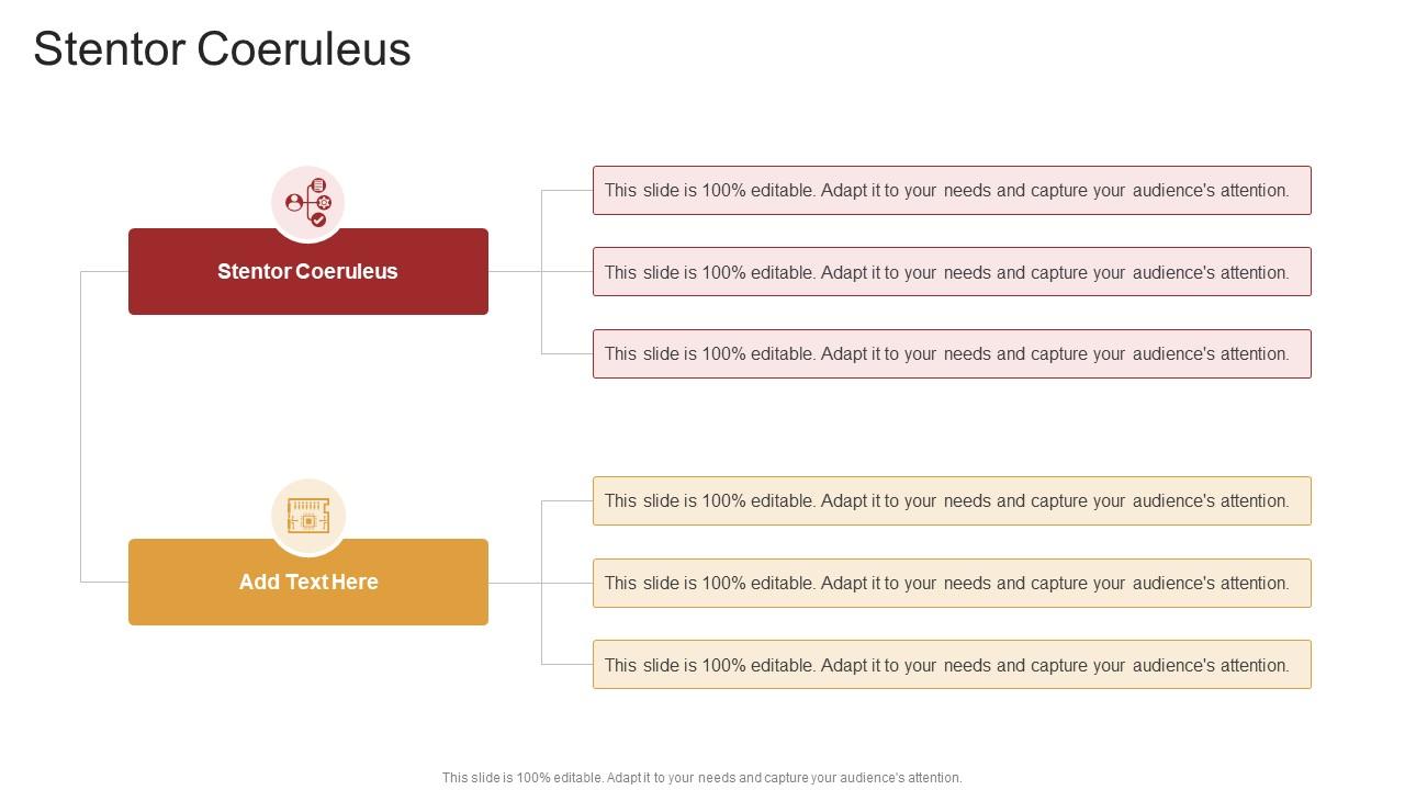 Stentor Coeruleus In Powerpoint And Google Slides Cpb