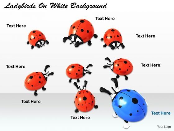 stock_photo_blue_ladybird_in_red_ladybirds_powerpoint_slide_1.jpg