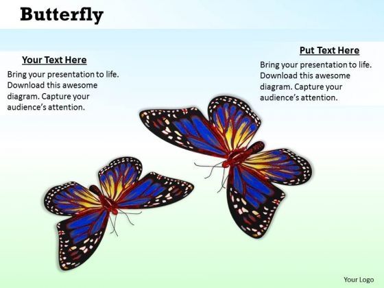 stock_photo_butterflies_with_bright_colors_powerpoint_slide_1.jpg