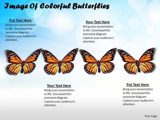 stock_photo_image_of_colorful_butterflies_ppt_template_1.jpg