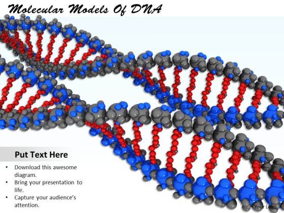 stock_photo_molecular_models_of_dna_powerpoint_template_1.jpg