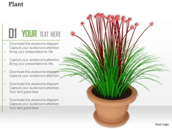stock_photo_plant_with_vase_for_home_decoration_powerpoint_slide_1.jpg