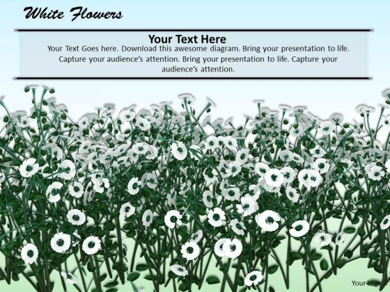 stock_photo_white_flowers_nature_background_powerpoint_slide_1.jpg
