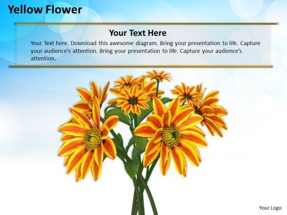 stock_photo_yellow_flowers_with_blue_sky_in_background_powerpoint_slide_1.jpg
