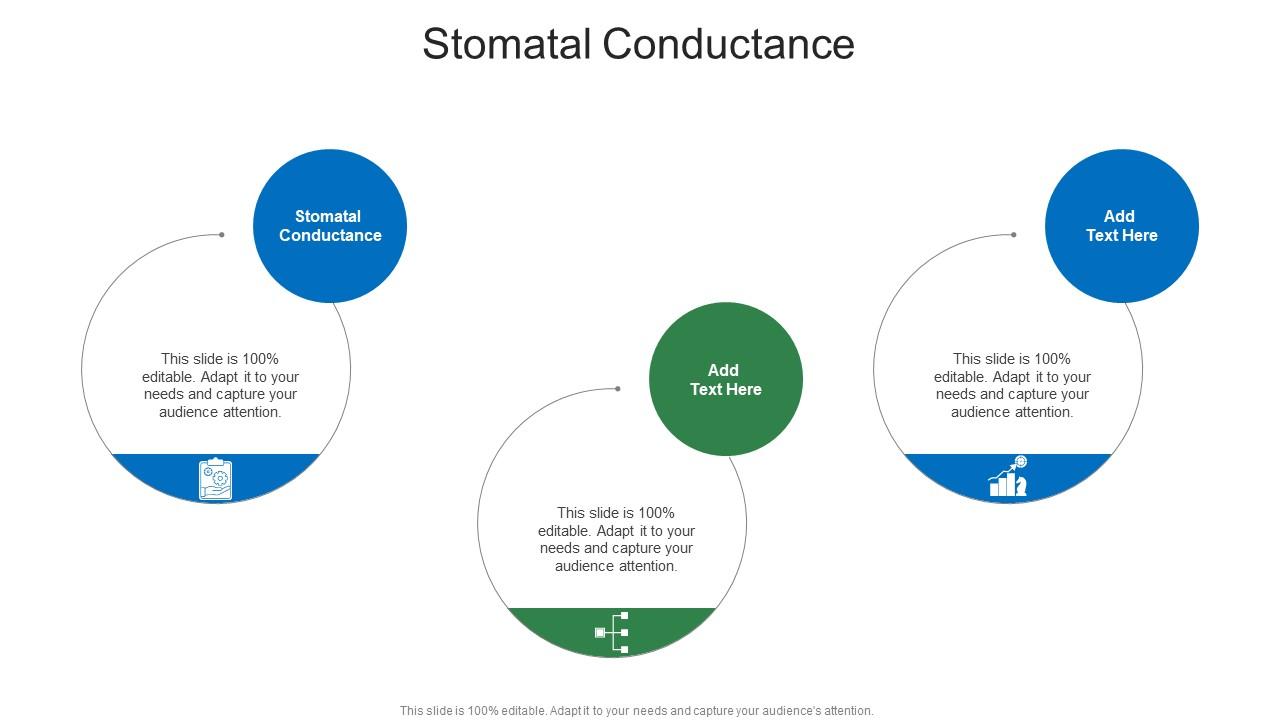 Stomatal Conductance In Powerpoint And Google Slides Cpb