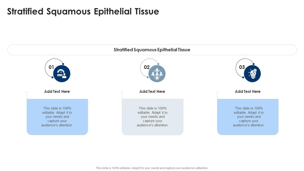 Stratified Squamous Epithelial Tissue In Powerpoint And Google Slides Cpb