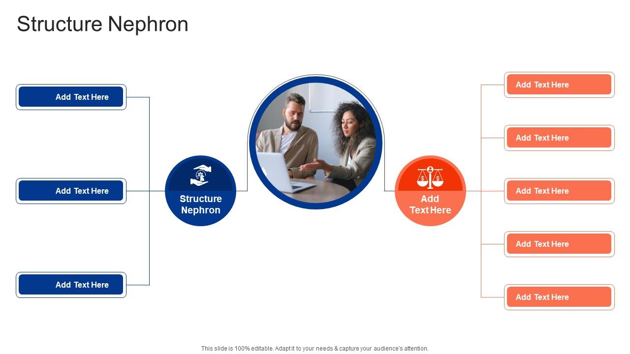 Structure Nephron In Powerpoint And Google Slides Cpb