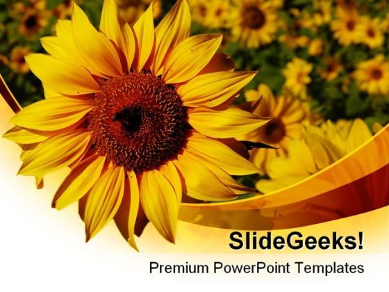 sunflower01_nature_powerpoint_templates_and_powerpoint_backgrounds_0211_title.jpg