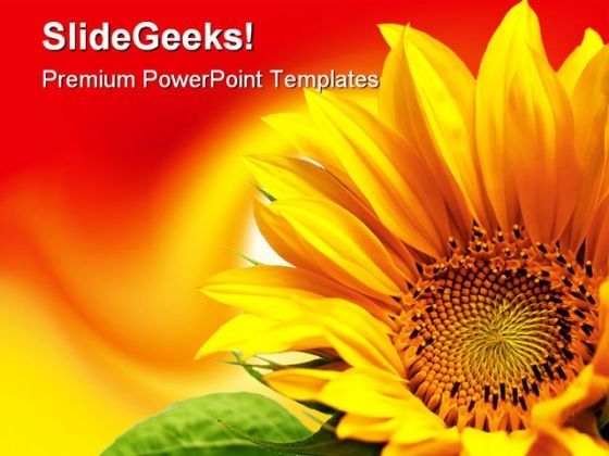 sunflower_beauty_powerpoint_backgrounds_and_templates_1210_title.jpg
