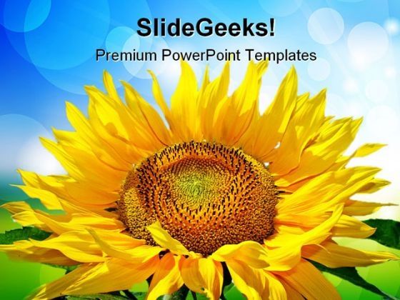 sunflower_beauty_powerpoint_templates_and_powerpoint_backgrounds_0211_title.jpg
