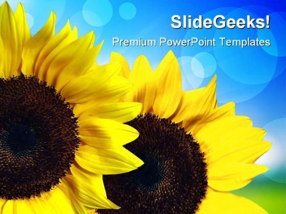 sunflower_nature_powerpoint_templates_and_powerpoint_backgrounds_0211_title.jpg