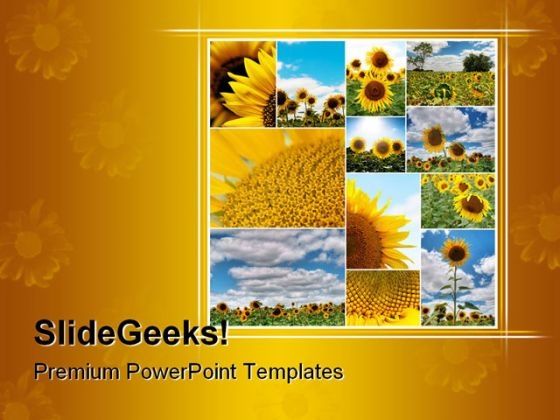 sunflowers_collage_nature_powerpoint_template_0810_title.jpg