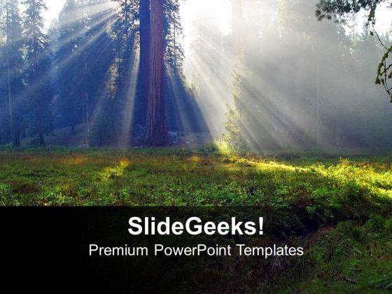 sunrays_on_tree_nature_powerpoint_templates_ppt_backgrounds_for_slides_1212_title.jpg