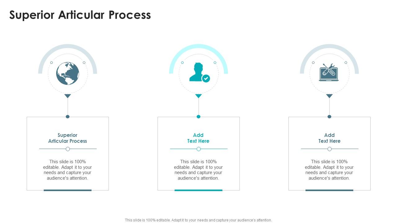 Superior Articular Process In Powerpoint And Google Slides Cpb