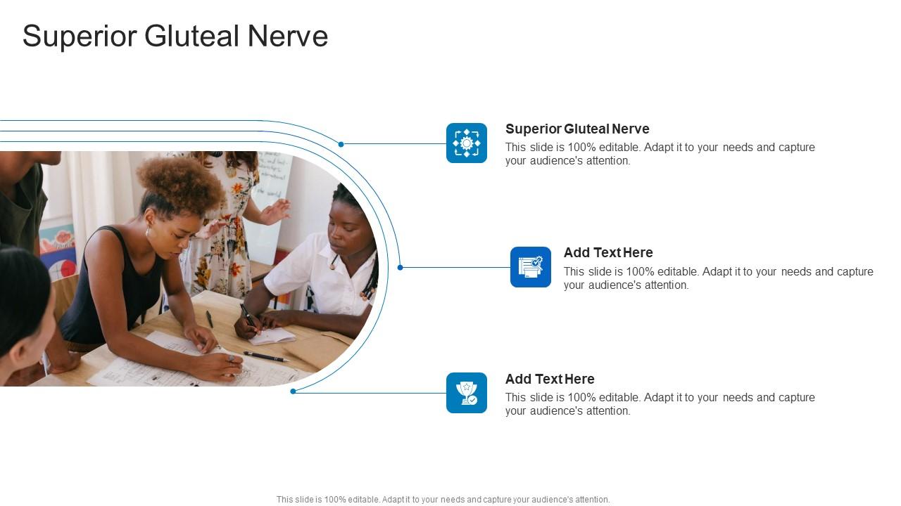 Superior Gluteal Nerve In Powerpoint And Google Slides Cpb