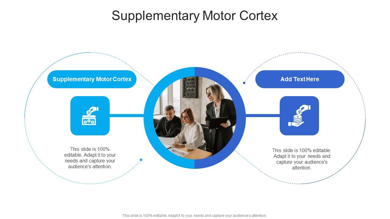 Supplementary Motor Cortex In Powerpoint And Google Slides Cpb