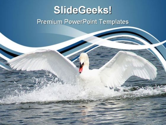 swan_animals_powerpoint_themes_and_powerpoint_slides_0611_title.jpg