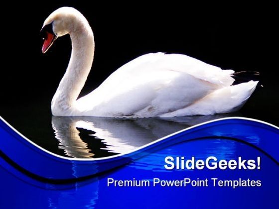 swan_reflected_animals_powerpoint_themes_and_powerpoint_slides_0511_title.jpg